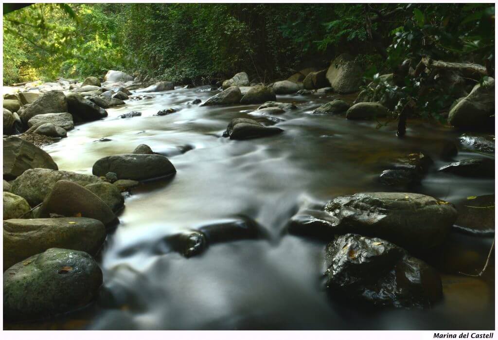 Circle of Life | Poems, Humour & Words from Poetic Expressions